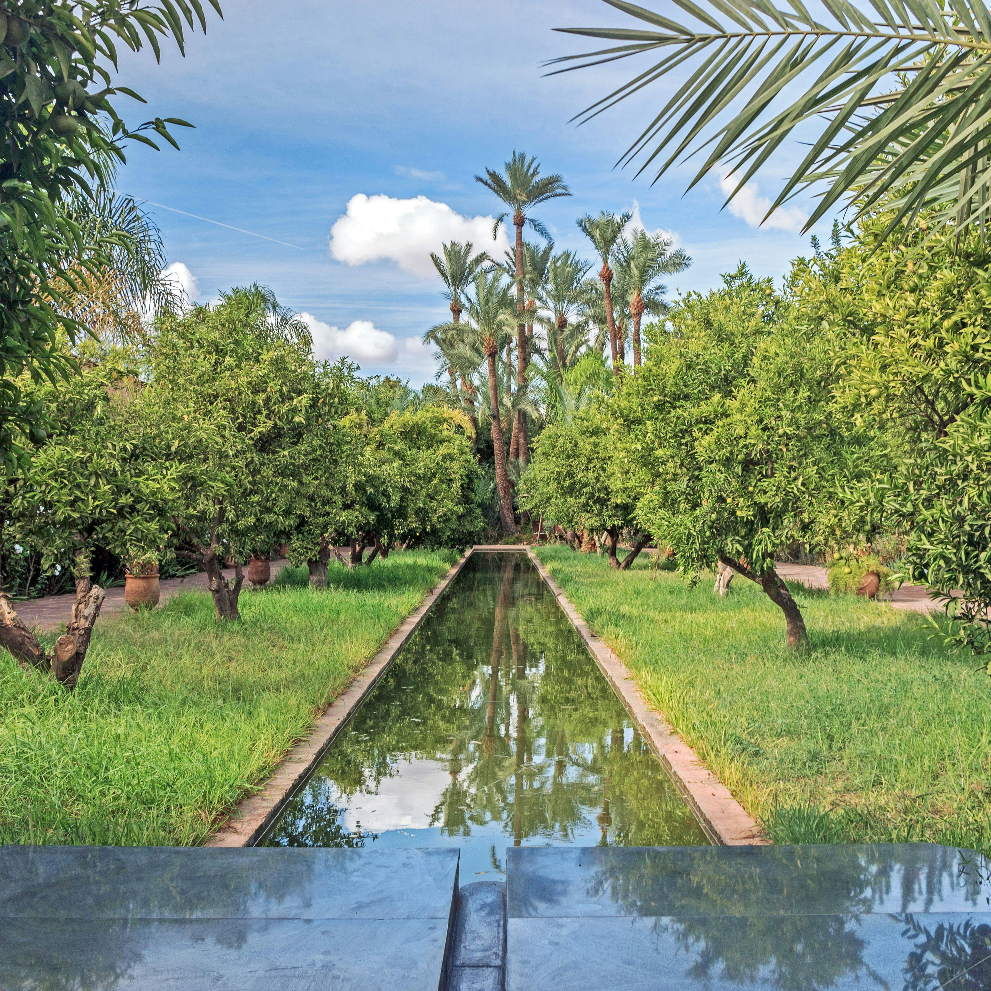 green plants in garden at Palmeraie museum in Morocco; Musée de la Palmeraie
Shutterstock ID 777811729; your: Bridget Brown; gl: 65050; netsuite: Online Editorial; full: POI Image Update